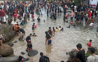 Tradisi Gramak Iwak di Banjarnegara, Ribuan Warga Kompak Berburu Ikan